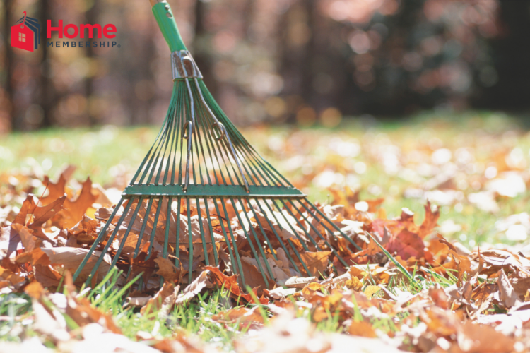Cooler weather means it's a great time to check out these Lawn Maintenance Tips For Fall! Your grass will be amazing!