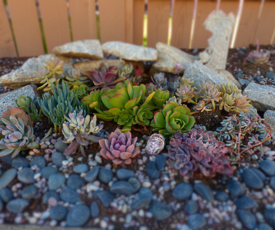 Style meets sustainability in our list of the top No-Grass Backyard Landscaping Ideas for this year's outdoor renovations.