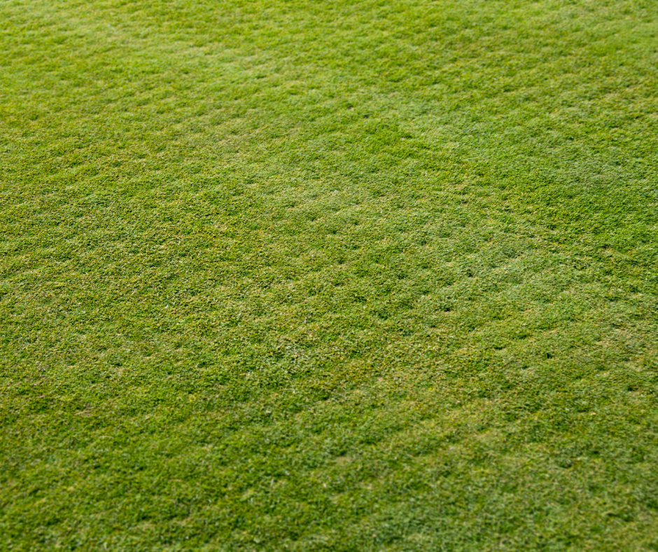 Lawn aeration is a great way to boost the health of your lawn and set it up for success in the months ahead.