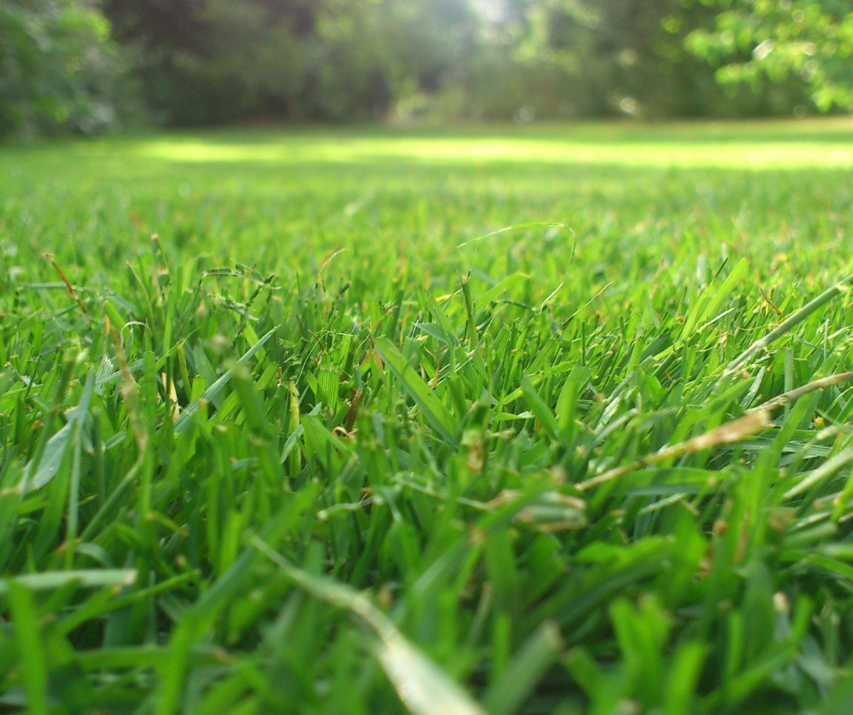 Lawn aeration is a great way to boost the health of your lawn and set it up for success in the months ahead.