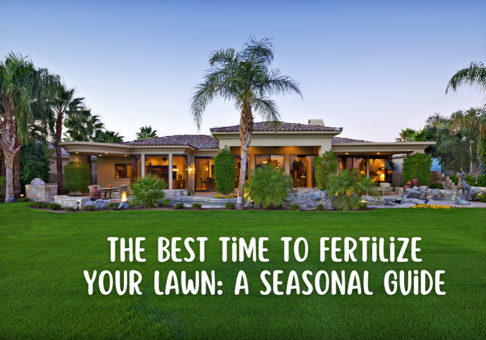 Are you wondering when is the best time to fertilize your lawn? Check out this seasonal guide to help you have the best lawn!