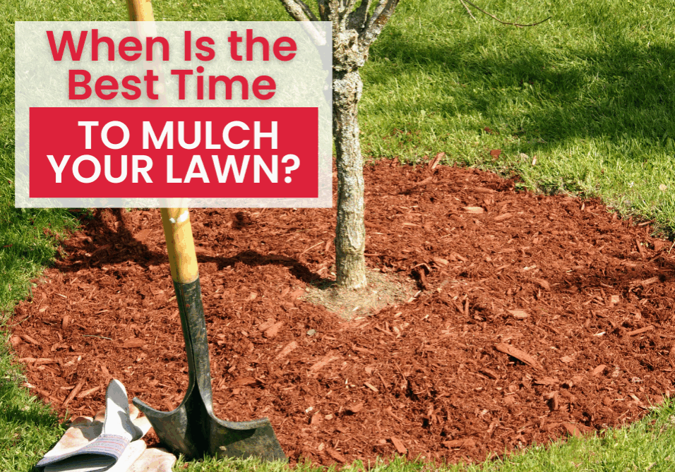 When done correctly, mulching isn't just a good idea—it's the secret weapon to a healthy lawn, fewer unwanted weeds, and better times ahead in your garden.